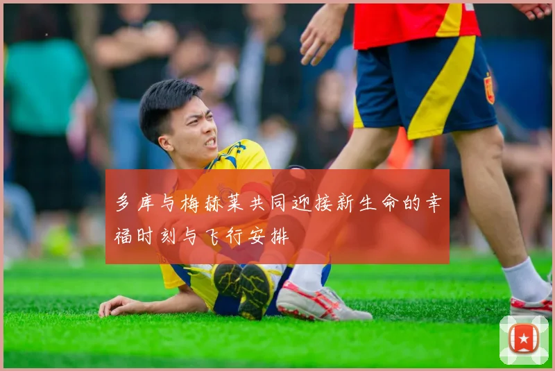 多库与梅赫莱共同迎接新生命的幸福时刻与飞行安排